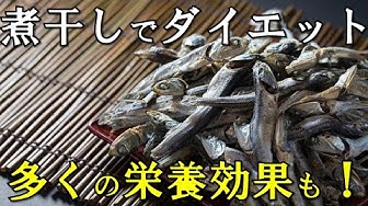 煮干し Youtube
