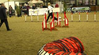 jo tristram with bitzy uka agility zone masters standard 1st place.MP4