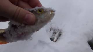 Рыбалка видео. Зимние блесны,безмотылк , безнасадка , удочки - своими руками Рыбалка видео. Зимние блесны,безмотылк , безнасадка , удочки - своими руками
