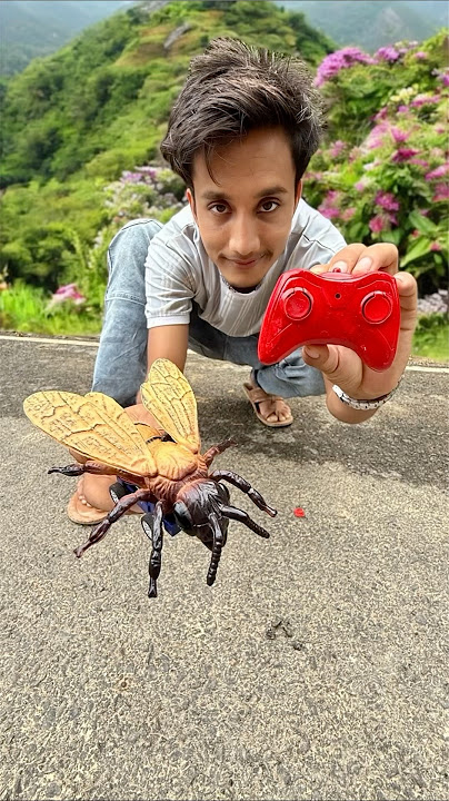 Remote wala Ekta bumble bee 🐝 testing