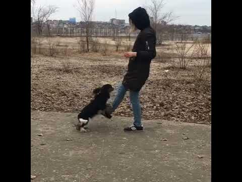 Весенние прогулки с Бьёнсе - YouTube