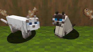 William, We're Cats. | Minecraft Shorts