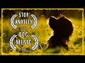 Meditation Music For Dogs & You ~ Dog Chakra Music ~ Music that relaxes dogs and owners