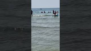 #ВИТЯЗЕВО #дельфины рядом! Теплое и чистое море#сентябрь2023 #shorts_video_2023  #анапа