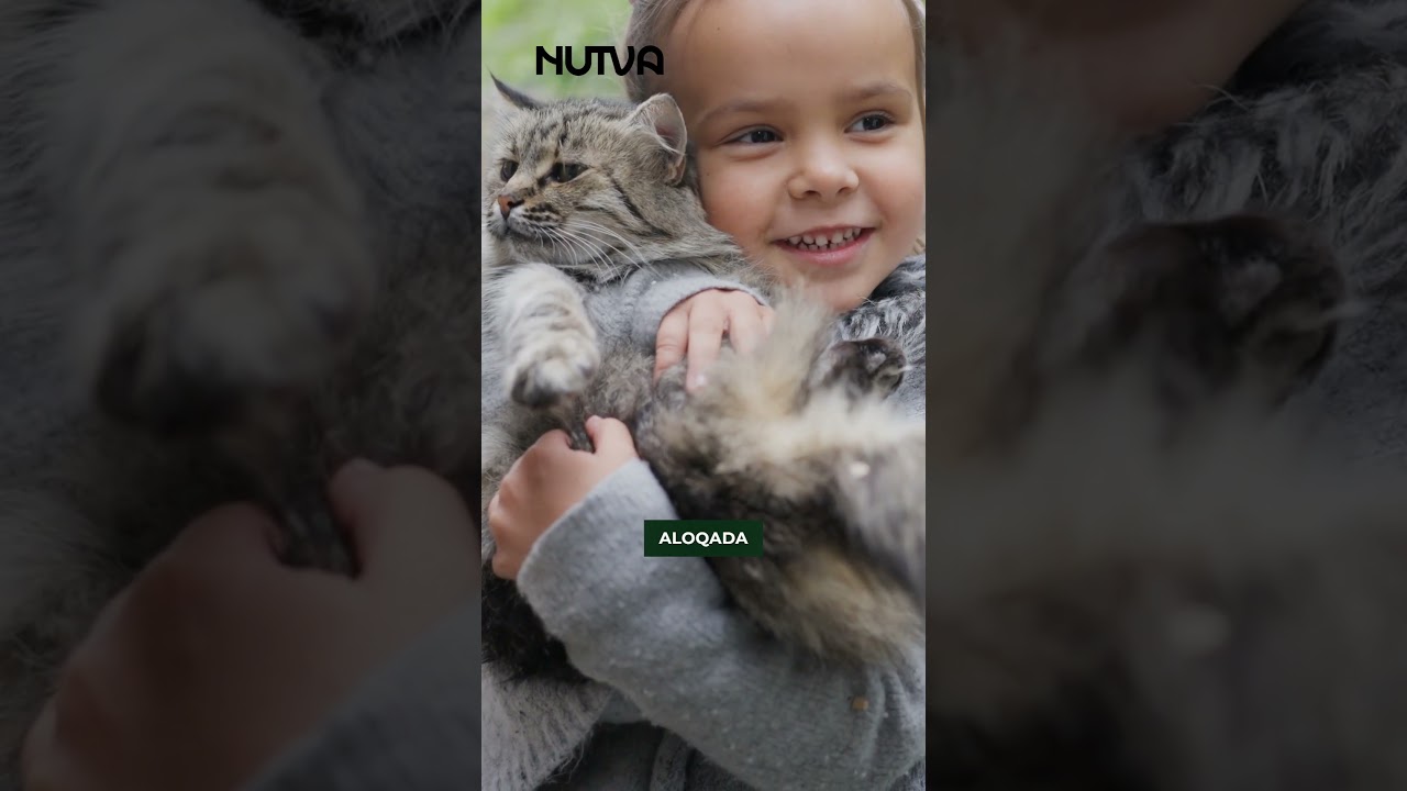 Ilona Polevaya ishtirokidagi onlayn porno video Egri-bugri rus ayollari ishtirokidagi porno