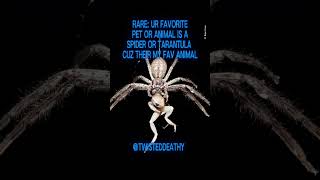 I love tarantulas :3