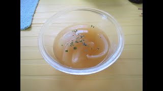 【初音ミク】私はブイヨン