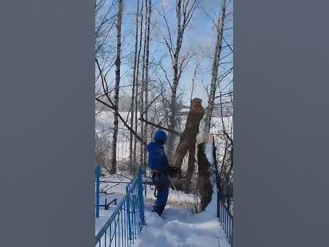 Твори бардак! Мы здесь проездом! - YouTube