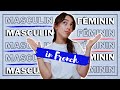 Why Are French Words MASCULINE or FEMININE? // How To Identify Masculine and Feminine in French!