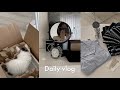 【VLOG】新しい家族🐈を迎えた日｜夏の準備⛱️ヘアカット💇🏻‍♀️と購入品紹介📦｜東京賃貸暮らし｜ロフト付き1R