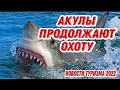 ОПАСНОСТЬ НАПАДЕНИЯ АКУЛ НА ПОБЕРЕЖЬЕ ОСТАЁТСЯ. В ХУРГАДЕ ВВЕДЁН СТРОГИЙ ЗАПРЕТ НА ОТДЫХ.