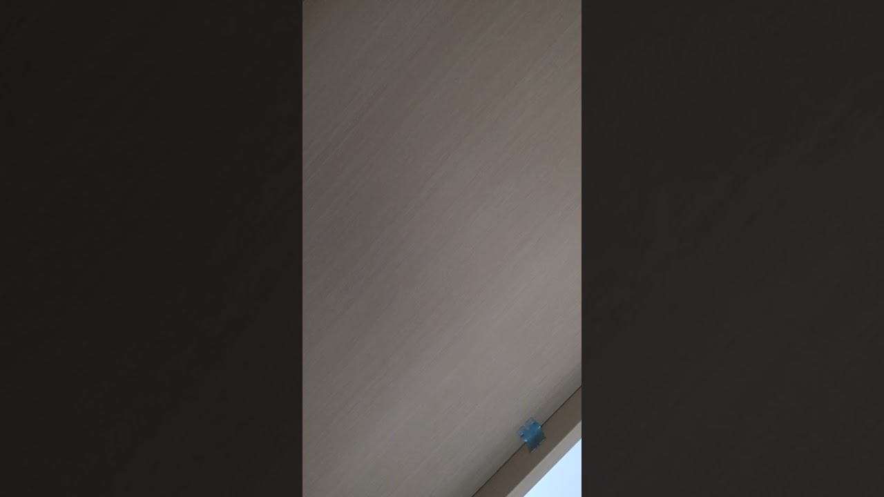 26 февраля 2026 г.