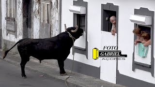 Tourada à corda in Figueiras do Paim, Santa Cruz, 2 October 2024