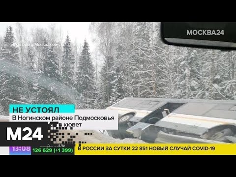 Автобус съехал в кювет в Ногинском районе Подмосковья - Москва 24