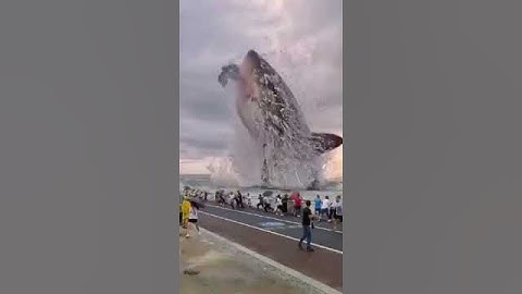 Video que viralizou do Tubarão gigante