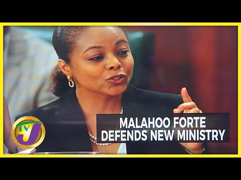 New Legal Affairs Minister Defends Creation of New Ministry | TVJ News