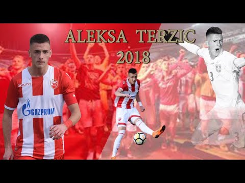 ● Aleksa Terzic ● | HIGHLIGHTS | ● 2018/2019 ●