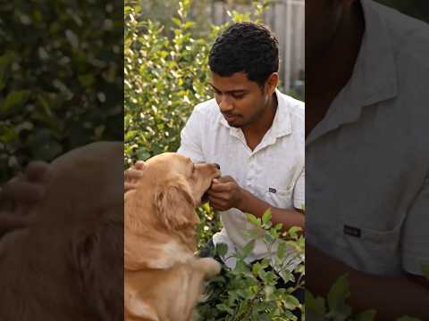 #comedy #funny video