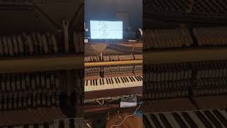 Pianola roll simulator #piano #music #python #raspberrypi