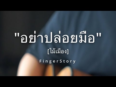 อย่าปล่อยมือ [ไม้เมือง] - #FingerStyle By Karn FingerStory