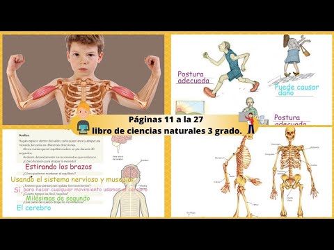 páginas-11-a-la-27-libro-ciencias-naturales-3-grado.