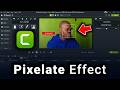 How to Pixelate Sensitive Parts of a Video in Camtasia