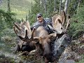 The Full Adventure Of An Alaskan Yukon Bull Moose Hunt (Warning This Is A Graphic Hunting Video)