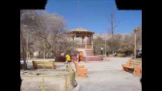 Cabellera Negra Palapa