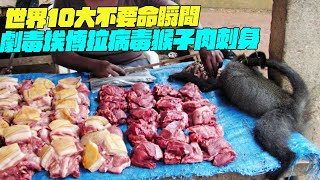 世界10大不要命瞬間劇毒埃博拉病毒猴子肉刺身印度美食 #街邊小吃 #印度小吃#搞笑視頻#維基紀錄片