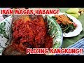 PLECING KANGKUNG YANG SANGAT KEJAM!!