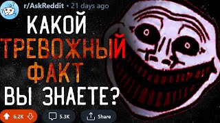видео: Какой Тревожный Факт Вы Знаете? #2 картинка: Какой Тревожный Факт Вы Знаете? #2