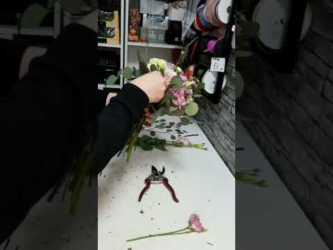 Video: Gerberas (48 De Fotografii): îngrijirea Florilor De Interior Acasă, O Descriere A Gerberei Jameson, Specii Albe, Portocalii și Galbene