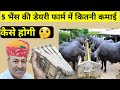 पांच भैंस के डेयरी फार्म में कितनी कमाई और कैसे/How to Start Dairy Farm in India Hindi Part-4