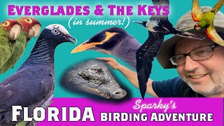 Birding Everglades &amp; The Keys—South Florida bird photography Part 1—Nearly eaten by Croc!