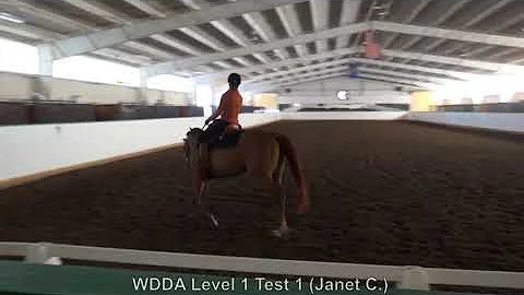 Western Dressage Level 1 Test 1 Janet Cagle Kit an...