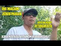 1001 Pakan Kambing Kaya Nutrisi, Vitamin, karbohidrat (Bebas Ngarit)