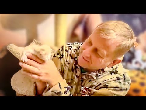 Видео: Олег Зубков нашел кошку МонуЛизу уже за пределами парка и вернул ее детям-котятам и носушатам!