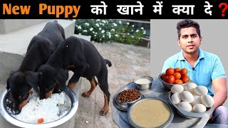 What To Feed A Puppy | New Puppy Diet Plan | Puppies Full Day Of Eating