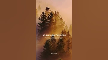 وَلَوۡ أَنَّ قُرۡءَانࣰا سُیِّرَتۡ بِهِ ٱلۡجِبَالُ | سورة الرعد – القارئ محمد اللحيدان