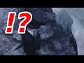 【バイオRE:4】川のほとりに正体不明の化け物が・・・【Resident Evil 4 Remake Night Terror MOD】