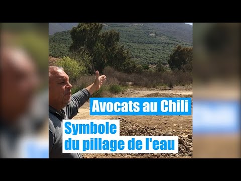 Vidéo: Votre Obsession De L'avocat Provoque Maintenant Une Sécheresse Au Chili