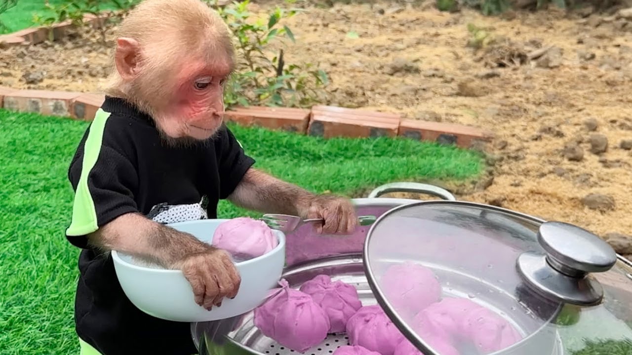 So Cute! Bibi enlisted took breakfast dumplings and cleaned up to help Dad