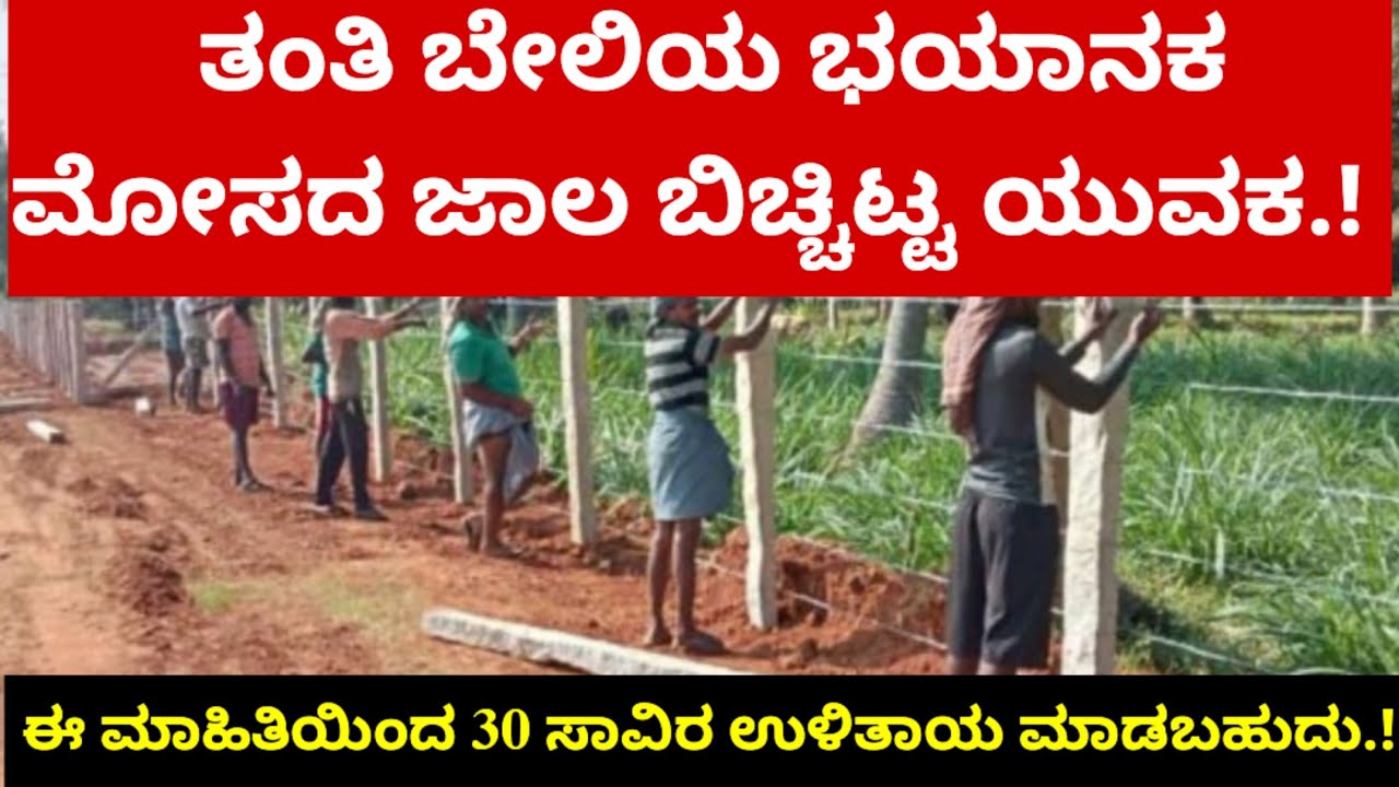 ತಂತಿ ಬೇಲಿಯ ಭಯಾನಕ ಮೋಸದ ಜಾಲ ಬಿಚ್ಚಿಟ್ಟ ಯುವಕ.! ಈ ಮಾಹಿತಿಯಿಂದ 30 ಸಾವಿರ ಉಳಿತಾಯ ಮಾಡಬಹುದು.!