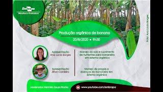 Webinar: Produção orgânica de banana