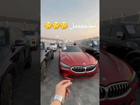 احلم يا عم الاحلام ببلاش