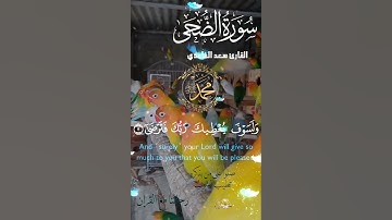 تلاوة خاشعة عطرة مباركة جميلة عذبة للشيخ سعد الغامدي سورة الضحى