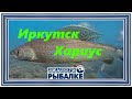 Диалоги о рыбалке - 101 / Иркутск.  Хариус