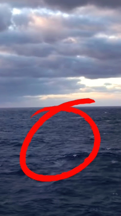 Giant Megalodon shark spotted on camera. #megalodon #shark #scary #viral #ocean #shorts #creepy