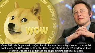 Dogecoin Doge Nedir Dogecoin Doge Kripto Para Birimi İncelemesi