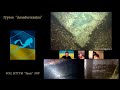 ZOOM підводна археологія пошук Янгола частина 1